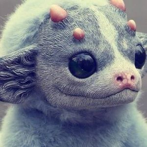 Meet your Posher, Alissa